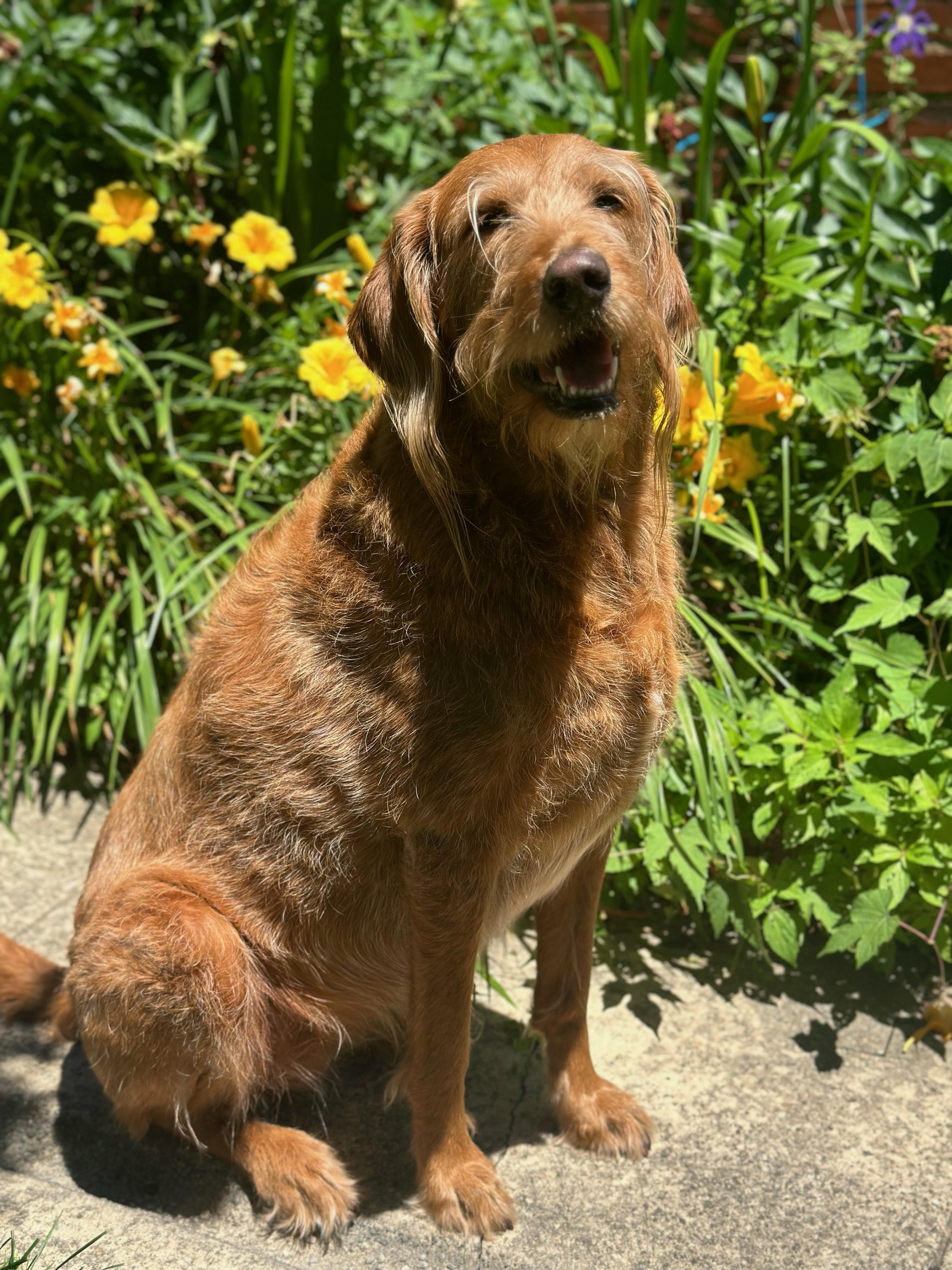 Ida posing for camera