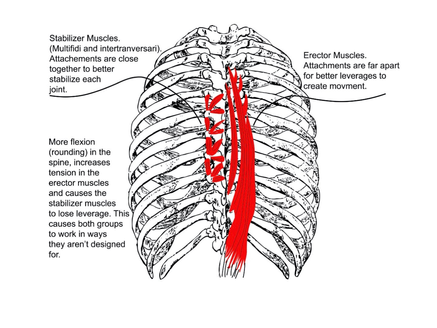 DiagramDescription automatically generated