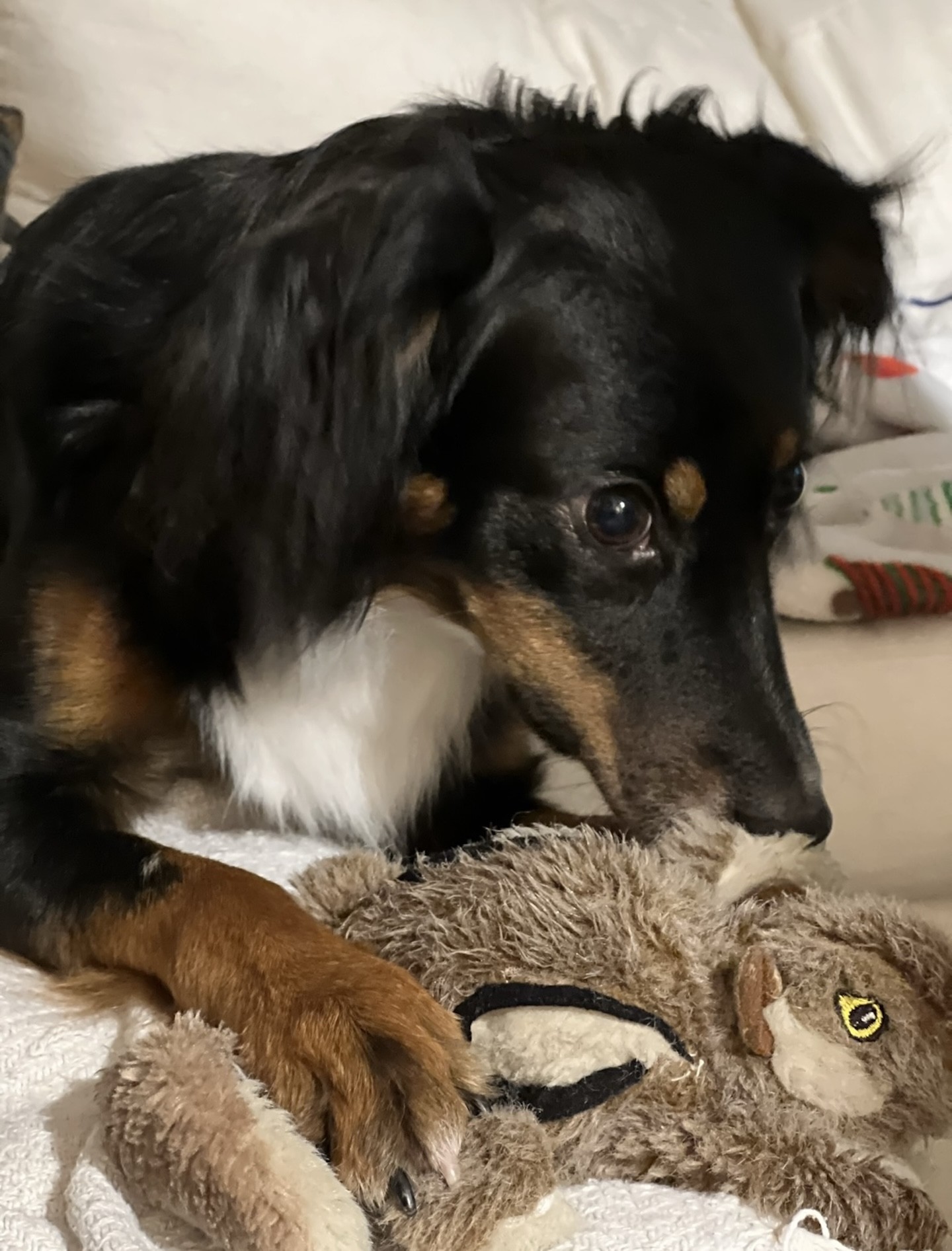 Seven and Lambchop toy